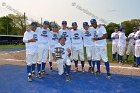 Baseball vs Babson  Wheaton College Baseball players celebrate their victory over Babson to win the NEWMAC Championship for the third year in a row. - (Photo by Keith Nordstrom) : Wheaton, baseball, NEWMAC